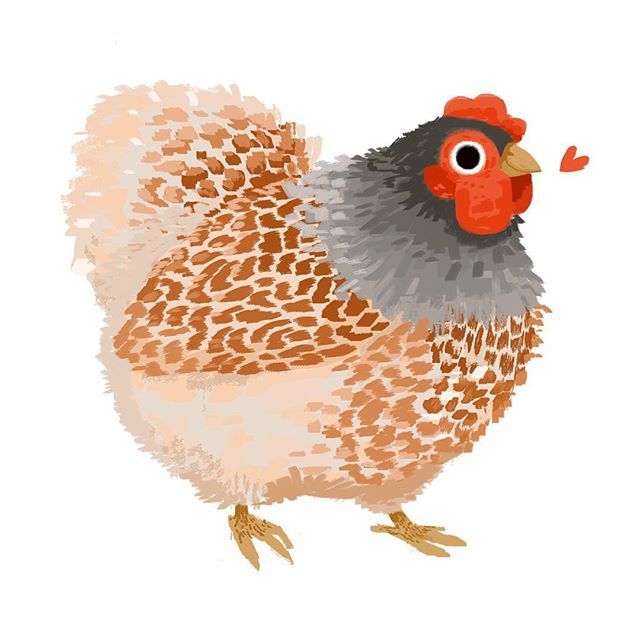 a drawing of a chicken with brown spots and red combs on it's head