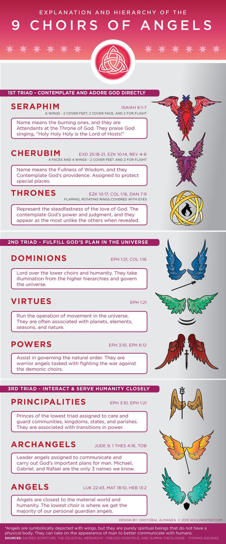 an info sheet describing the different types of wings and their functions in each wing type