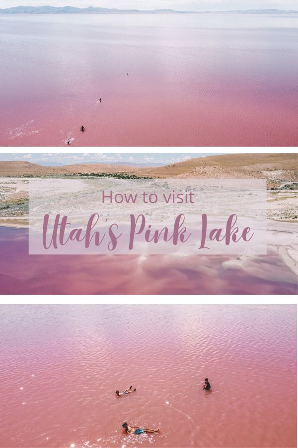 pink lake with people swimming in it and the words how to visit utah's pink lake