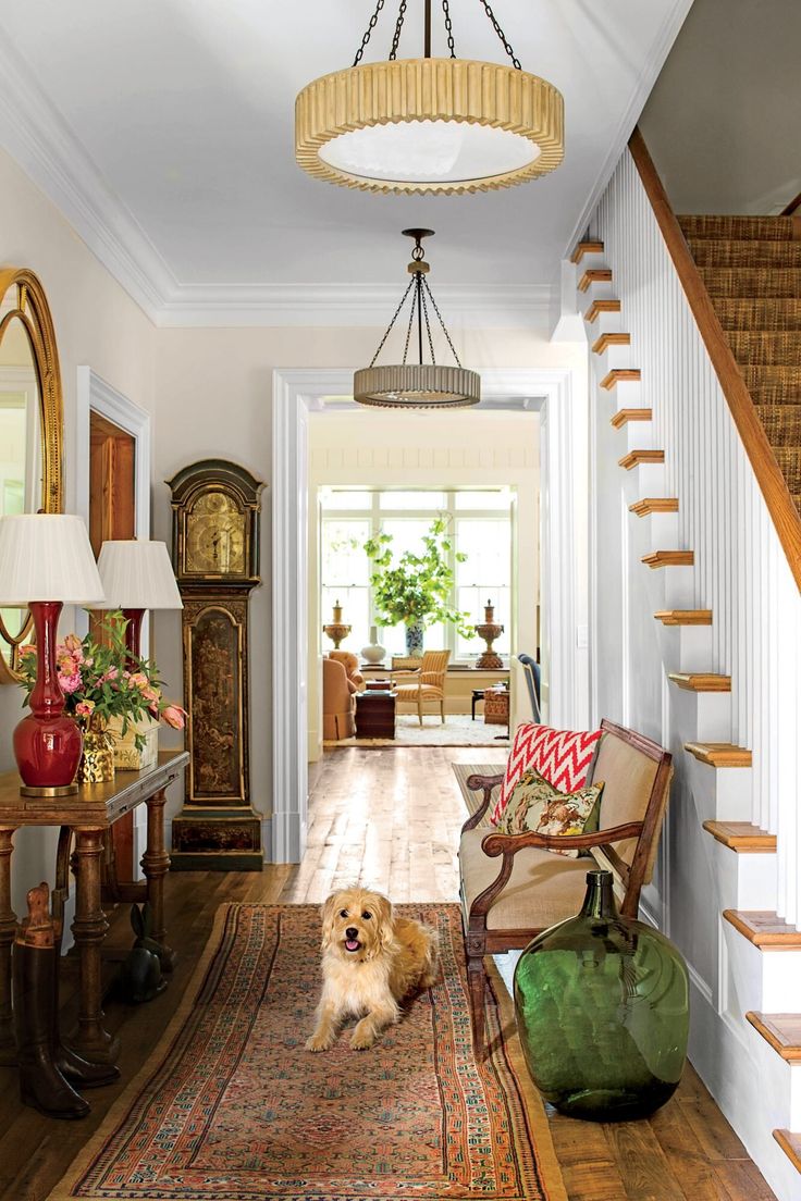 a dog is sitting on the rug in this hallway