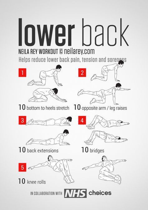 the lower back workout poster shows how to do it