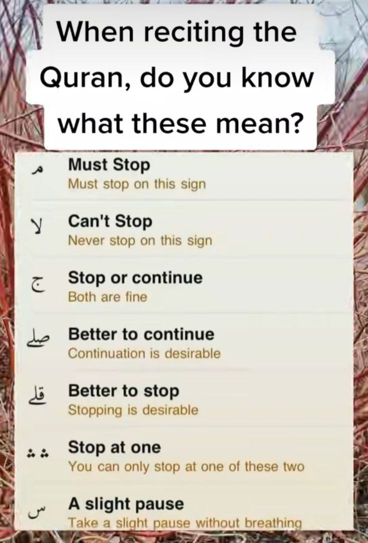 a sign that says when reciting the quran, do you know what these mean?