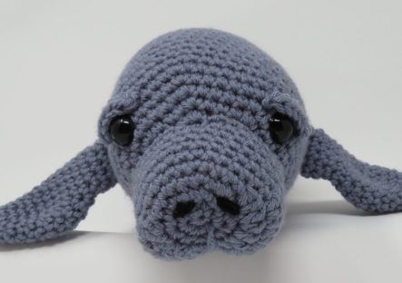 a crocheted elephant head with black eyes on a white background, it appears to be looking at the camera