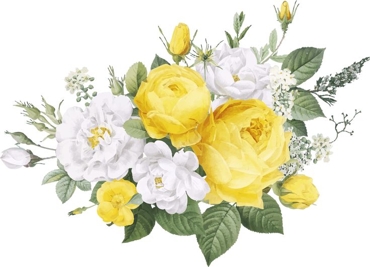 a bouquet of yellow and white flowers with green leaves on a white background, watercolor painting