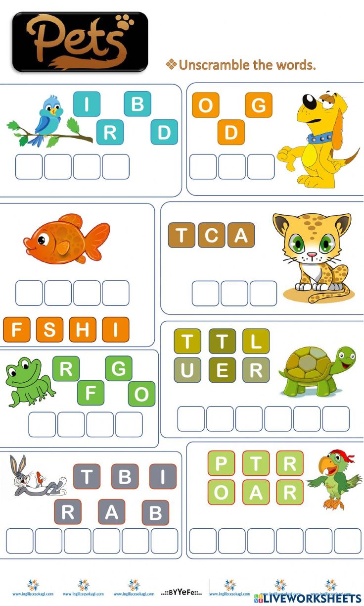 an animal word search is shown with words and pictures for each word, which are in the