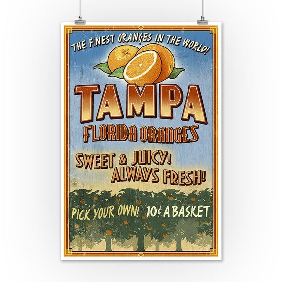 sanibel florida oranges sweet and juicy always fresh pick your own 10 - pack