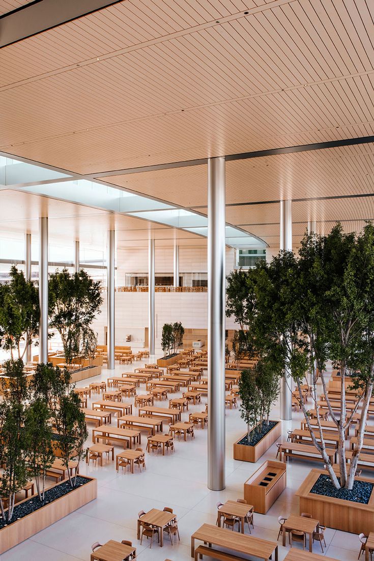 large collaborative workspace with live trees, wooden tables and wooden ceiling Office Atrium, Apple Campus 2, Apple Headquarters, Apple Office, Acoustic Baffles, Acoustic Ceiling Panels, Apple Park, Collaborative Workspace, Monterey Bay Aquarium