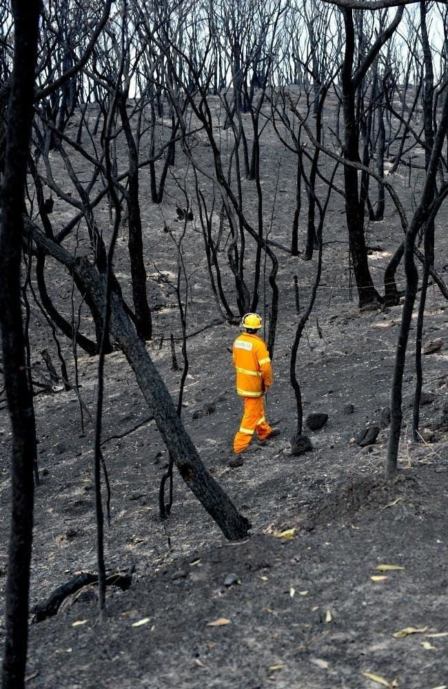 a man in an orange and yellow fire suit is walking through the burned forest area