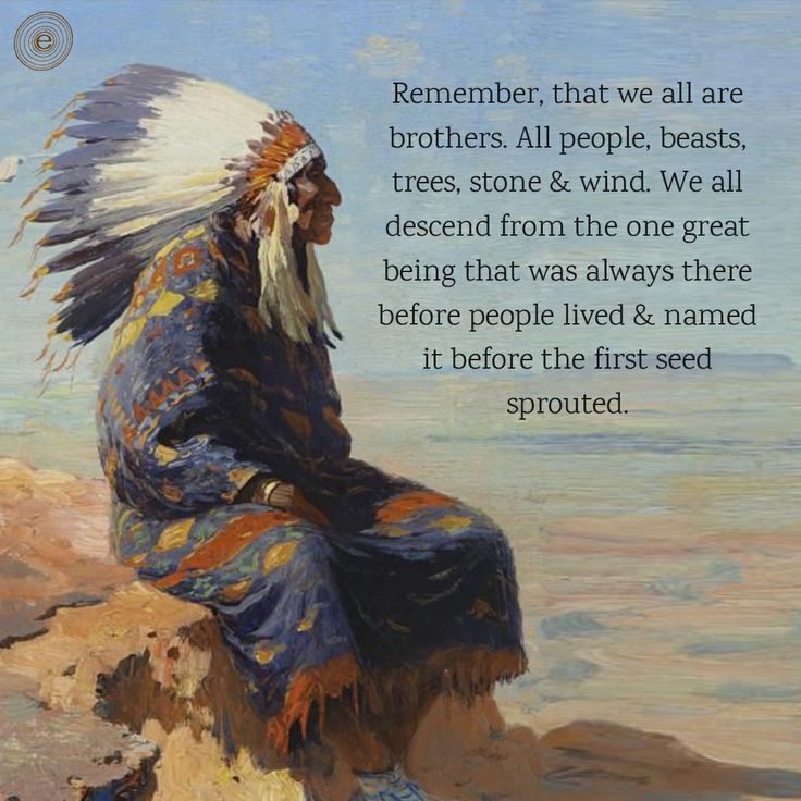 Native American Quotes Wisdom, Native American Proverbs, Native American Prayers, Native American Totem, Native American Spirituality, Native American Food, Native American Music, The Planet Earth, Native American Wisdom