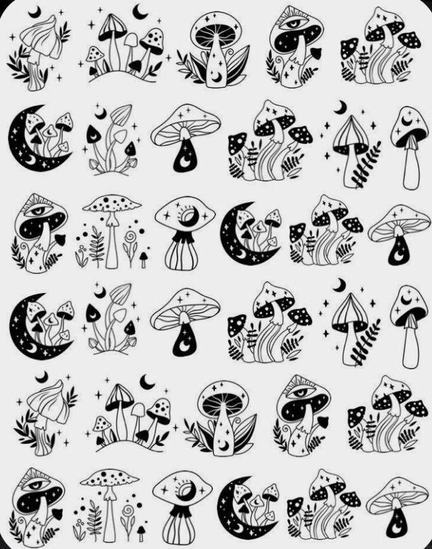 black and white illustrations of different types of mushrooms