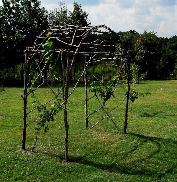 an outdoor structure made out of branches in the grass