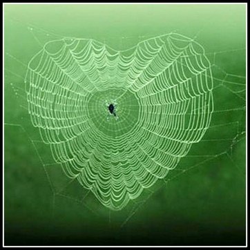 a spider web in the shape of a heart