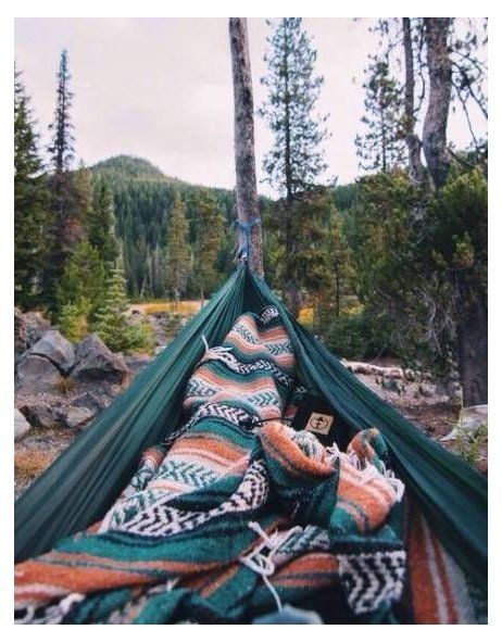 a hammock is set up in the woods