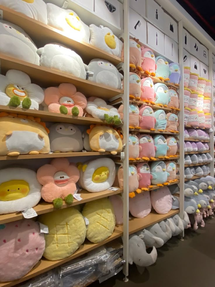 the shelves are filled with many different kinds of stuffed animals