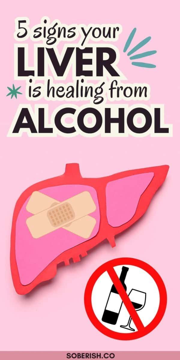 a brochure with the words 5 signs your liver is healing from alcohol