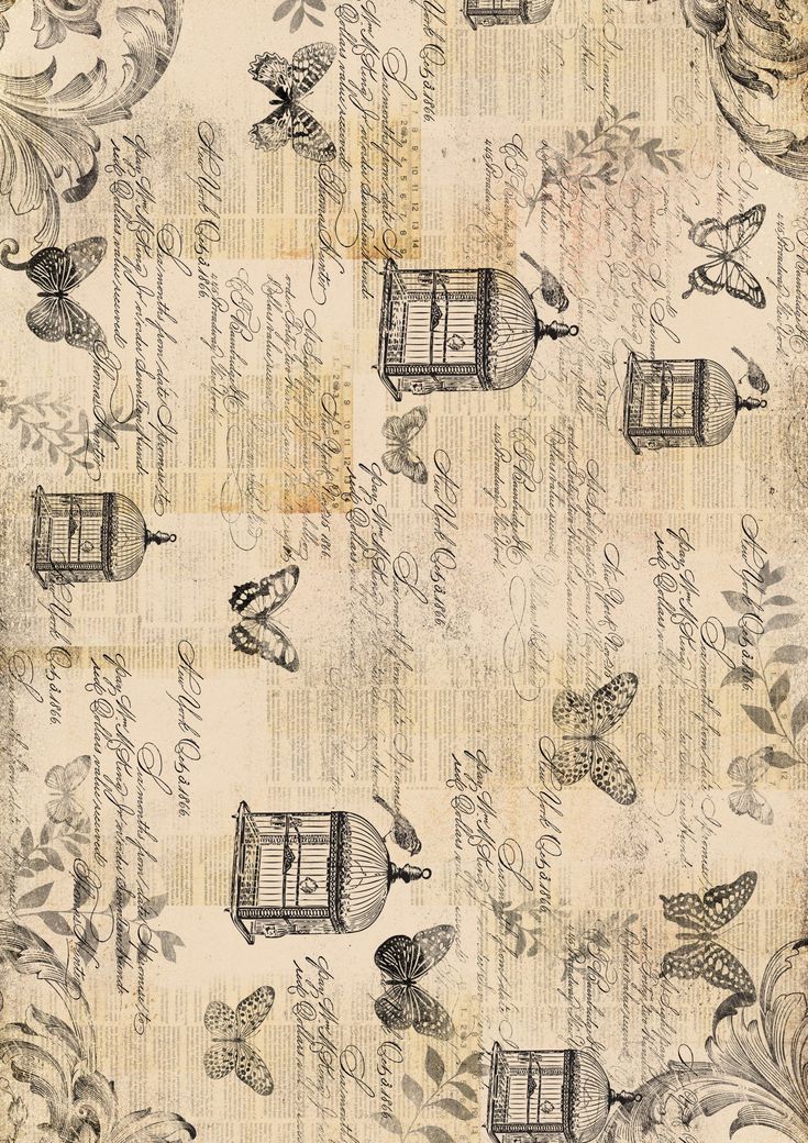 an old paper with birds and flowers on it