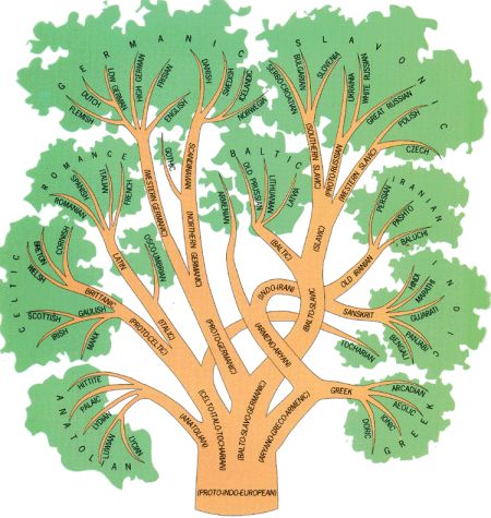 a tree with many branches labeled in different languages