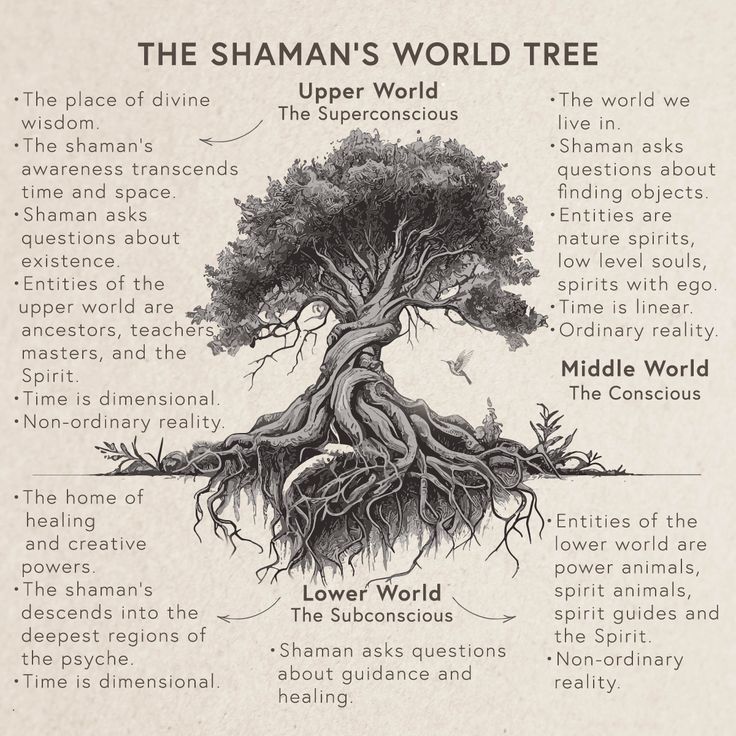 the shanman's world tree is shown in this old book page with its roots exposed