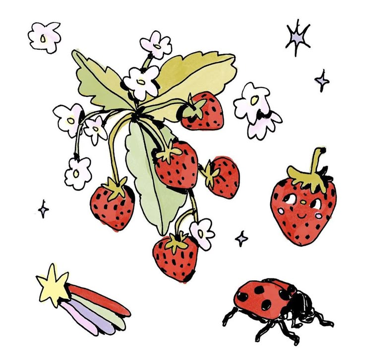 a drawing of strawberries and flowers with ladybugs on them, flying in the air