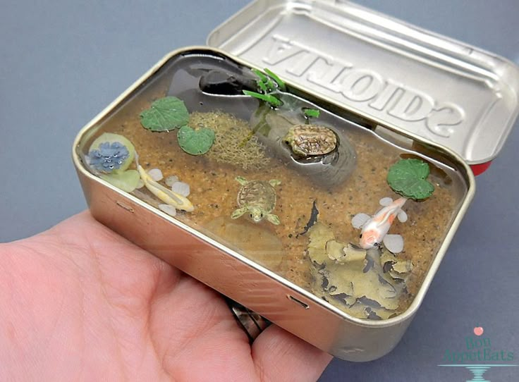 a small tin can filled with tiny plants and rocks in it's lid, sitting on top of a table