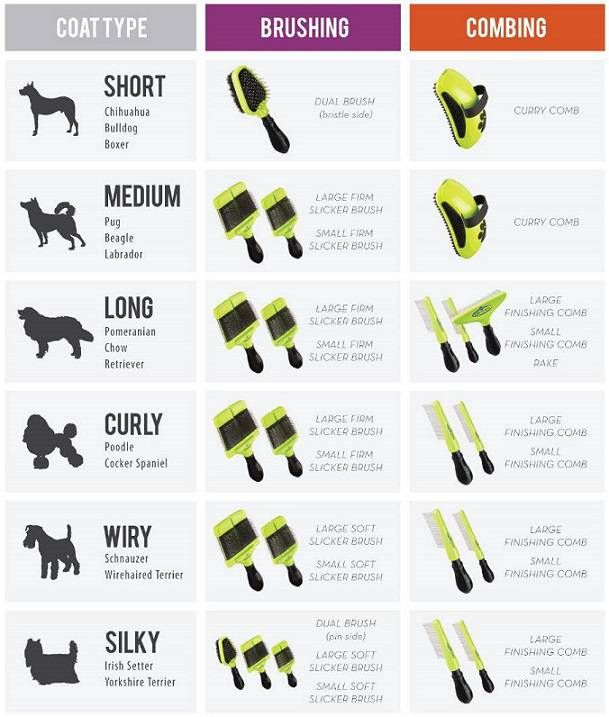 the different types of dog collars and leashes for dogs that are not in use