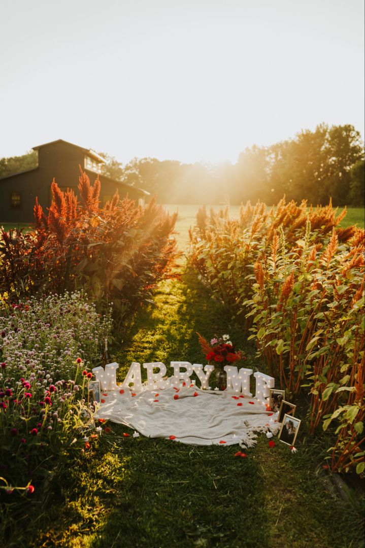 a sign that says happy new year in the middle of some flowers and bushes with red berries on it