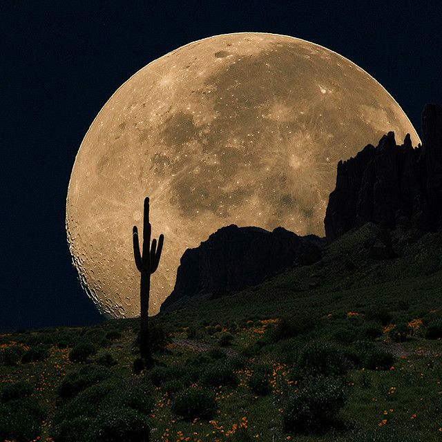 the full moon is seen over a cactus and mountains