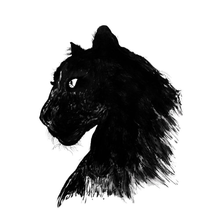 a black and white drawing of a cat's head with long hair on it