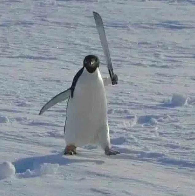 a penguin is walking in the snow with skis on it's back legs