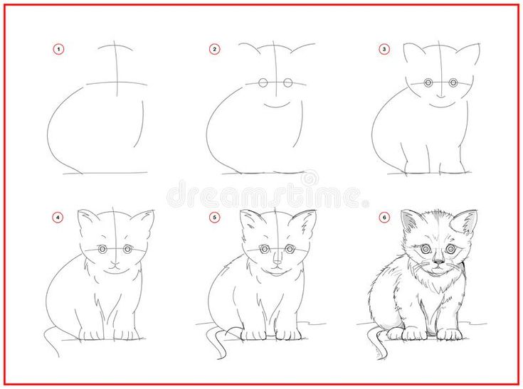 how to draw a cat step by step drawing instructions for children and adults royalty illustration