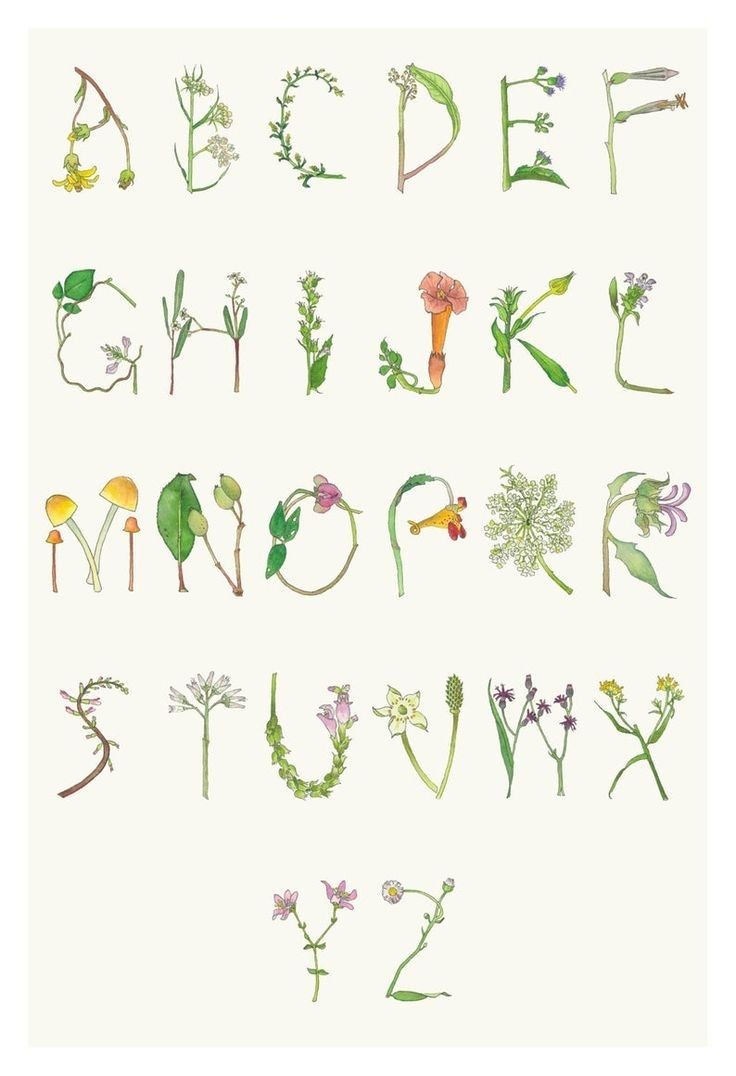 the alphabet is made up of flowers and leaves, all in different shapes and sizes