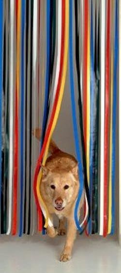 a dog is peeking out from behind some colorful curtains