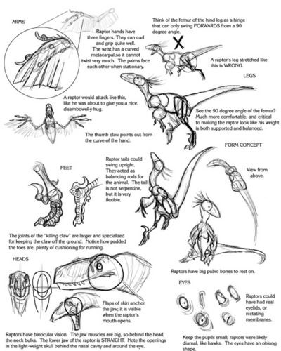 an image of how to draw dinosaurs