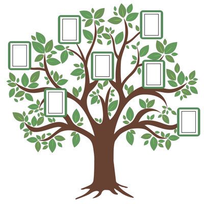 a family tree with four frames on the branches and green leaves around it, as well as two smaller ones