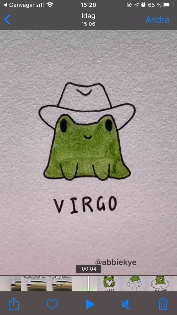 a drawing of a frog wearing a hat with the word virgo written on it