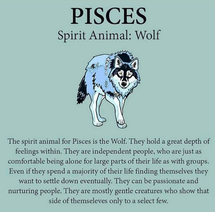 a poem with an image of a wolf and the words, spirit animal wolf on it