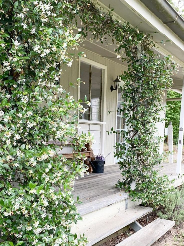 the front porch is covered with vines and flowers