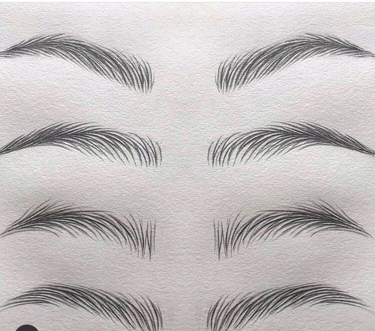 an image of eyelashes drawn in pencil