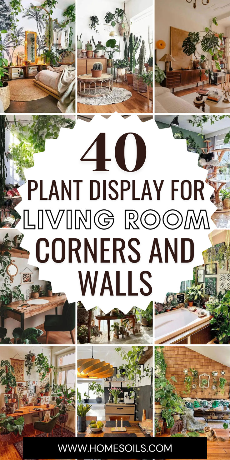 the top ten living room and dining rooms with text overlay that reads, 40 plant display for living room corners and walls