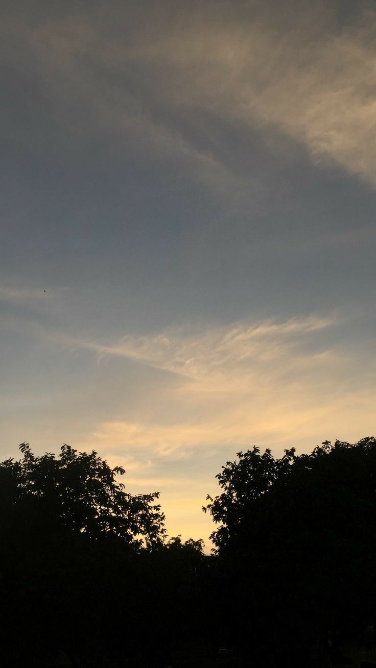 the sun is setting behind some trees and clouds in the sky, with one plane flying overhead