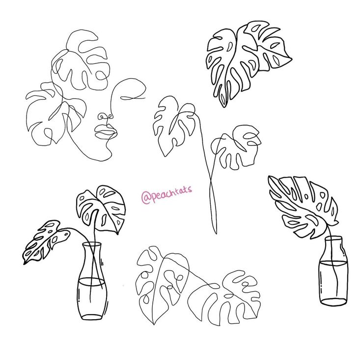 a line drawing of flowers and leaves in vases