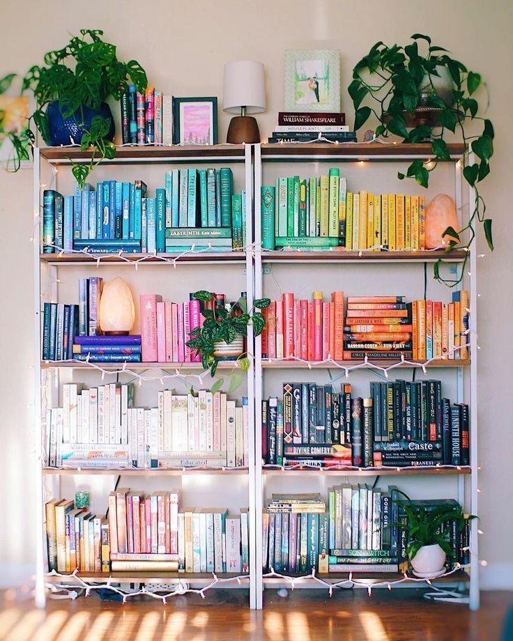 a bookshelf filled with lots of colorful books next to a wall mounted plant