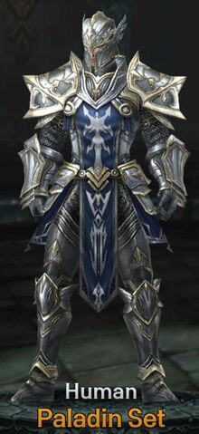 the human paladin set