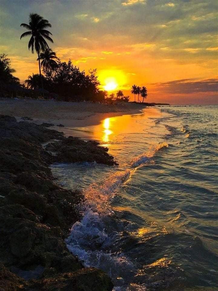 the sun is setting over the ocean with palm trees on the shore and waves coming in