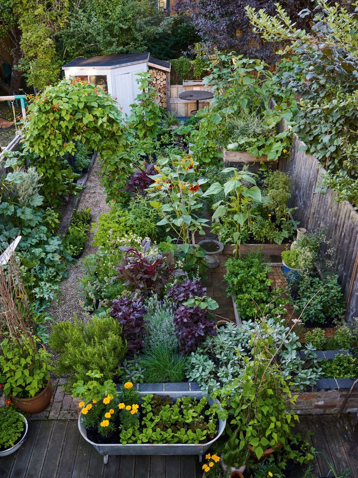 a garden filled with lots of different types of flowers and plants in pots on top of a wooden deck