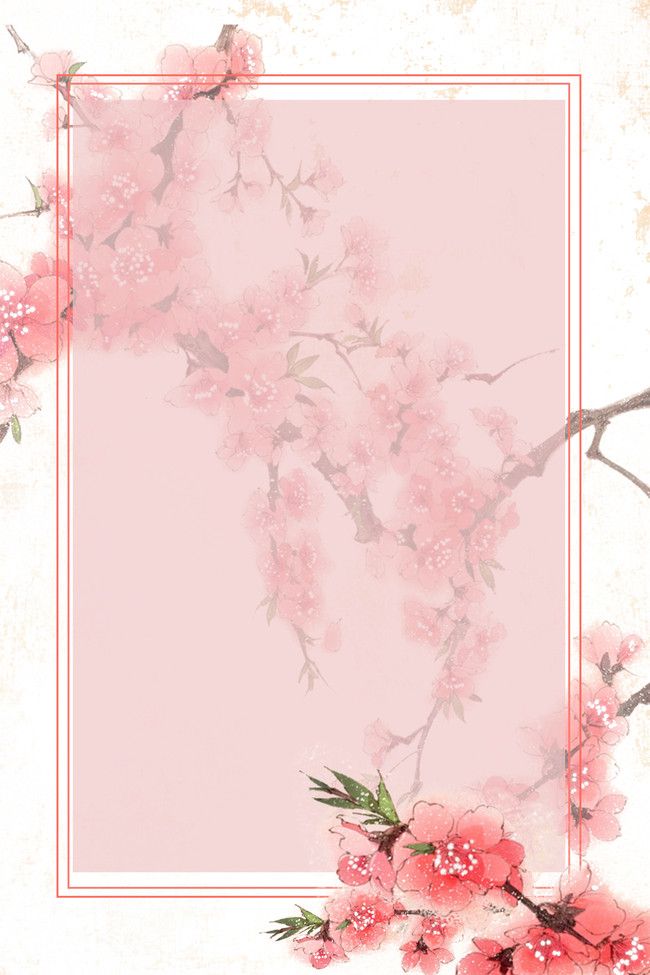 pink flowers and branches with a white frame