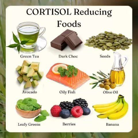 Mediterranean Diet Meal Challenge on Instagram: "✨ Understanding Cortisol & Hormones Through the Mediterranean Diet ✨

As we navigate through menopause, our bodies adapt in fascinating ways—one being an increased reliance on cortisol, often called the “stress hormone.” But here’s the catch: cortisol itself isn’t the enemy; it’s an essential hormone that helps us manage stress and maintain balance. The issue arises when cortisol production spikes too high, leading to common concerns like weight gain, mood swings, and fatigue.

🔍 How does the Mediterranean Diet help? This balanced way of eating naturally supports cortisol regulation through whole, nutrient-dense foods and heart-healthy fats that nourish our bodies from the inside out. Rich in antioxidants, omega-3s, and fiber, this diet pro Cortisol Diet, Reduce Cortisol, Reduction Diet, Mediterranean Diet Plan, Boost Testosterone, The Mediterranean Diet, Juicing For Health, Nutrient Dense Food, The Catch