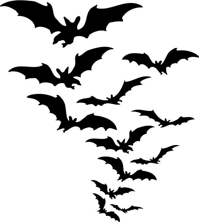 a flock of bats flying through the air