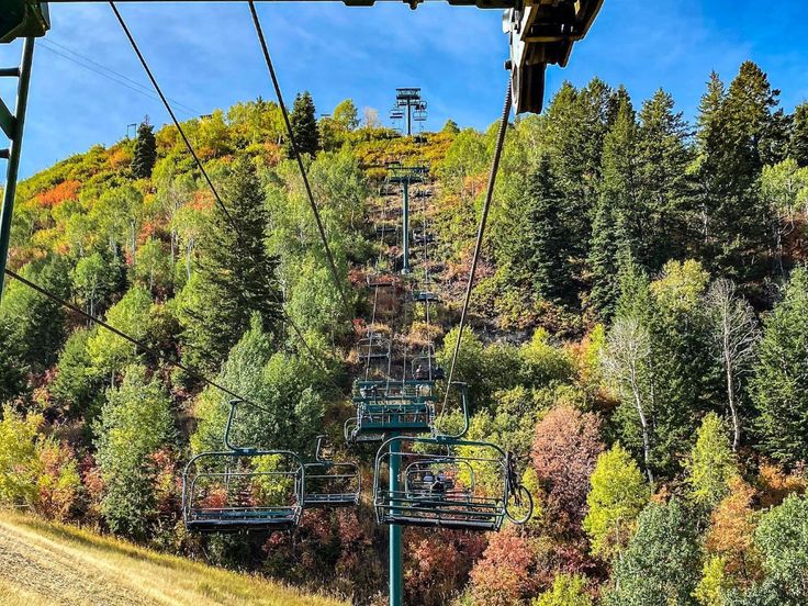 a ski lift going up the side of a mountain with trees on both sides and autumn foliage in the background