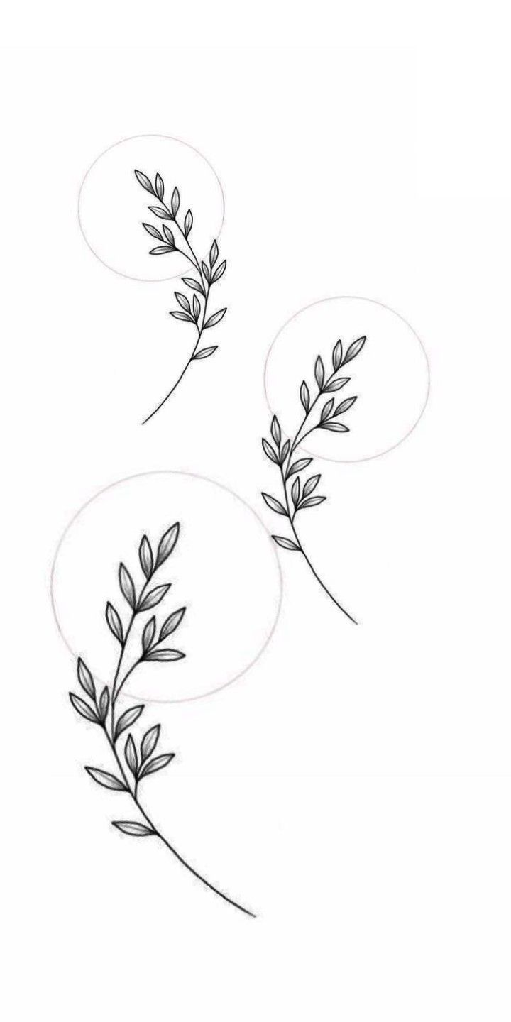 two branches with leaves drawn on them